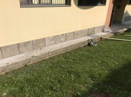 intonaco-decorativo-risanante_11